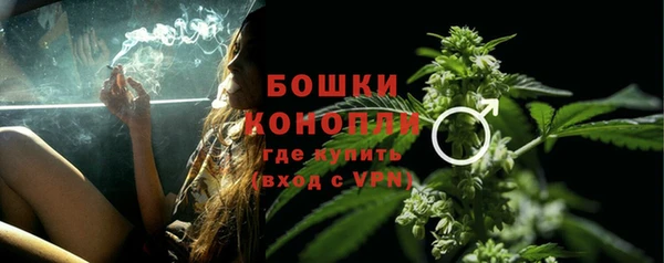 шишки Козельск