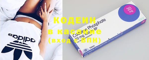 шишки Козельск