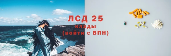 гашик Корсаков