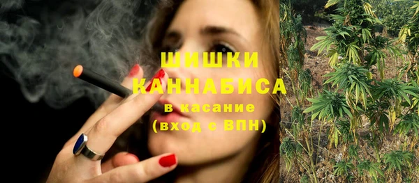 шишки Козельск