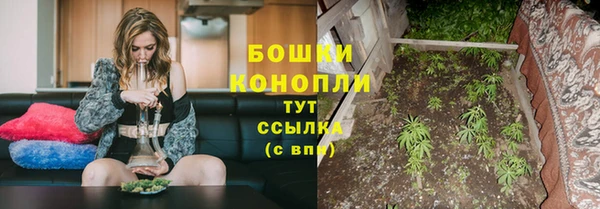 шишки Козельск