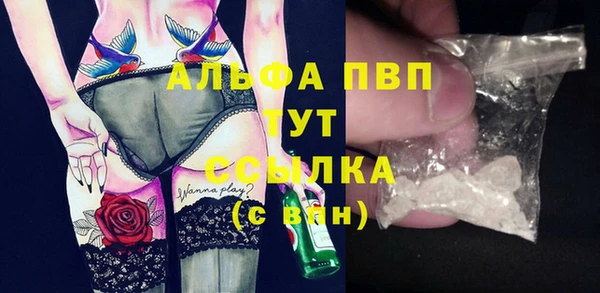 шишки Козельск