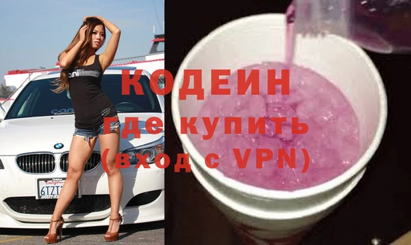 гашик Корсаков
