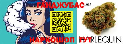 мяу мяу мука Кингисепп