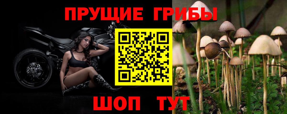 Галлюциногенные грибы Magic Shrooms Мценск
